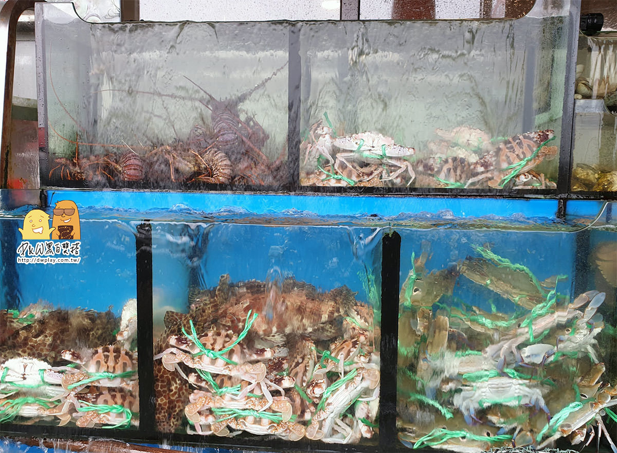2019萬里螃蟹季又來拉!就連郭富城也光臨的『珍海活海鮮』龜吼漁港必吃現流海鮮餐廳，螃蟹控會受不了的！